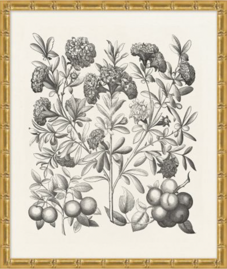 Bessler Study in Neutral Series