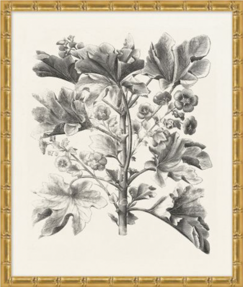 Bessler Study in Neutral Series