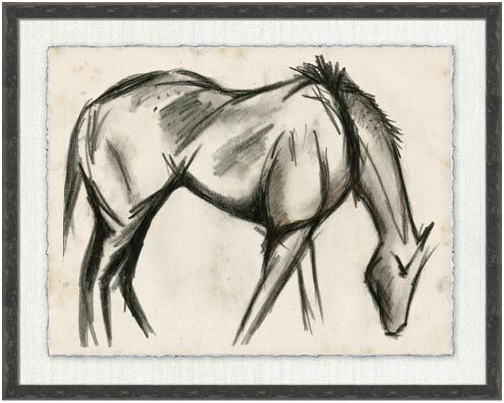 Horse Sketch Series
