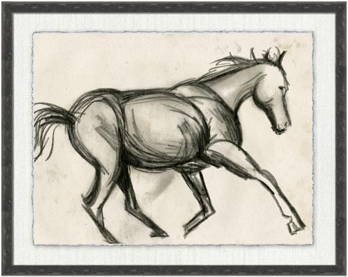 Horse Sketch Series