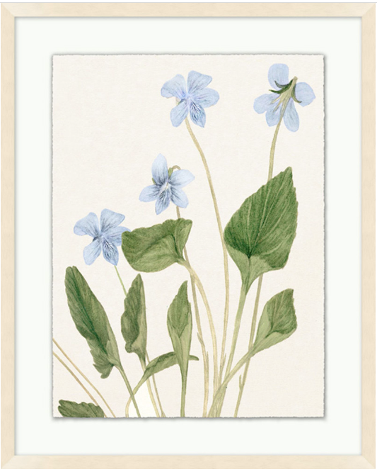 Vintage Floral Sketch Series