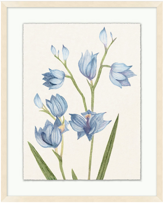 Vintage Floral Sketch Series