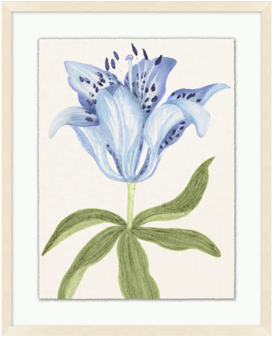 Vintage Floral Sketch Series