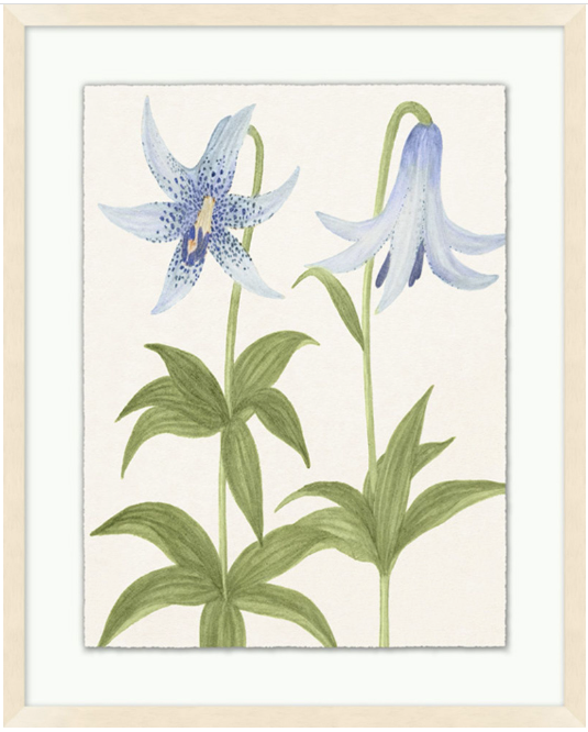 Vintage Floral Sketch Series