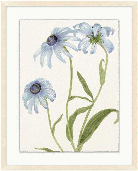 Vintage Floral Sketch Series