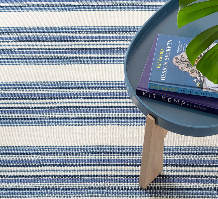 Road Runner Indoor/Outdoor Rug