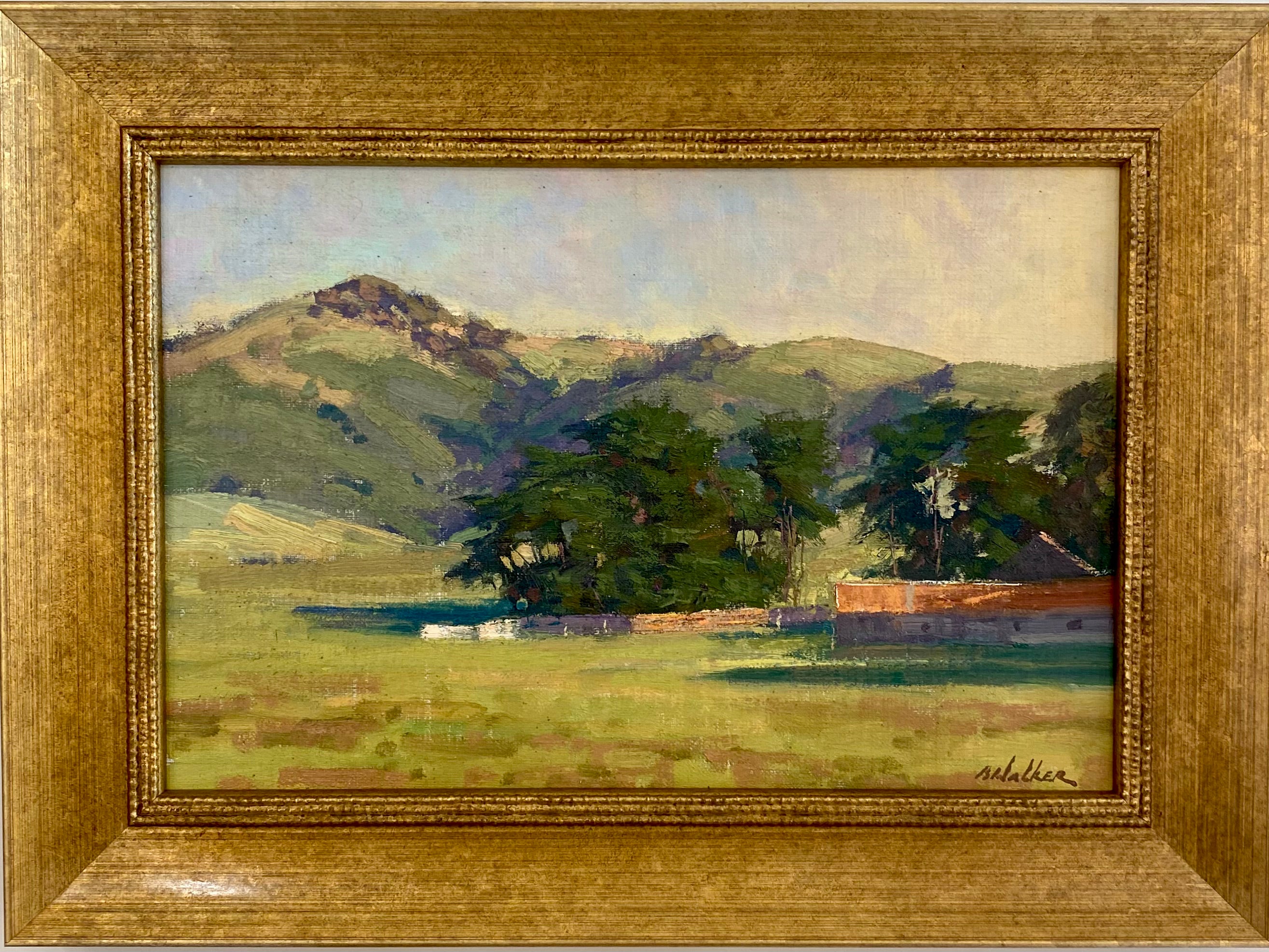 Warm Morning Light