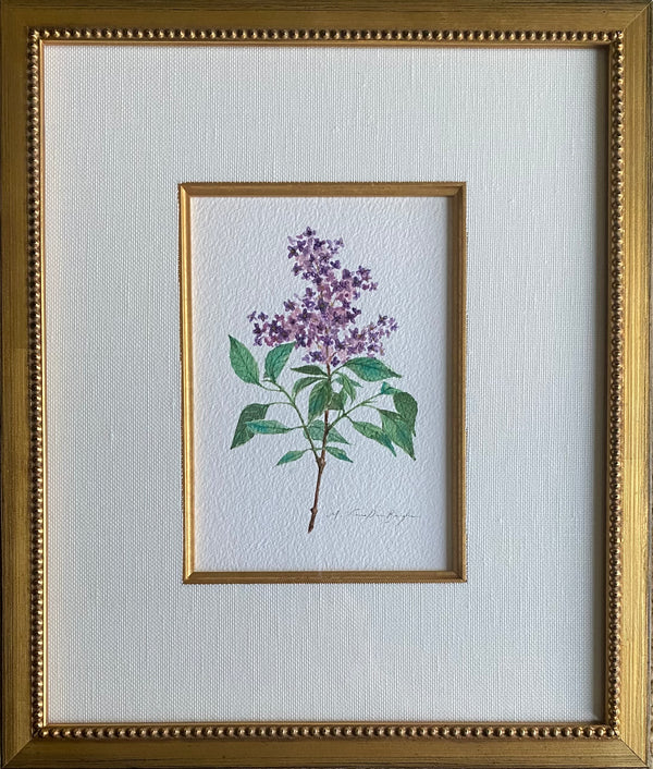 Lilac
