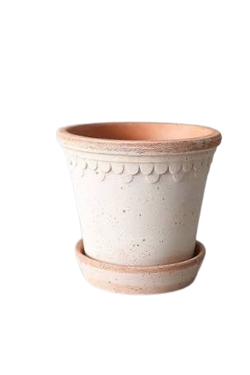 Bergs Potter Terracotta pots, assorted