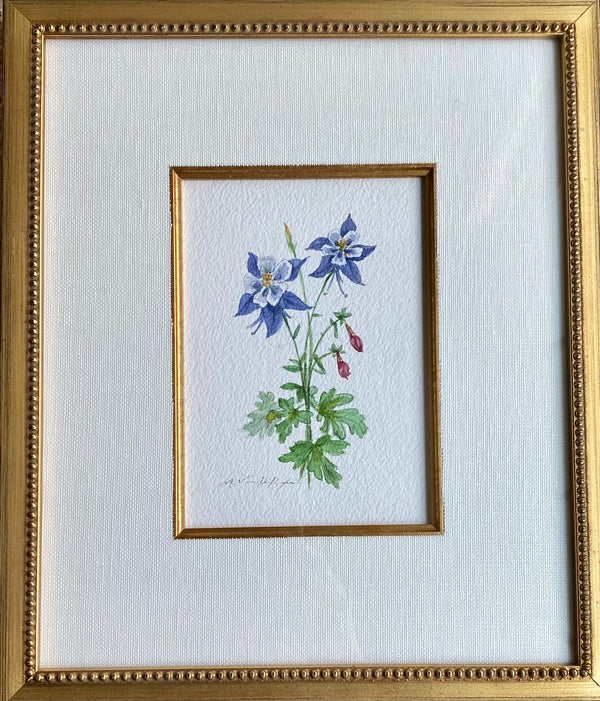 Columbine