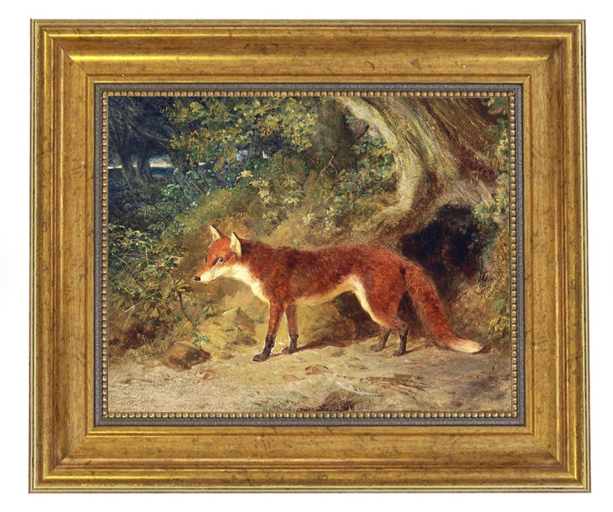 Fox in the Forest